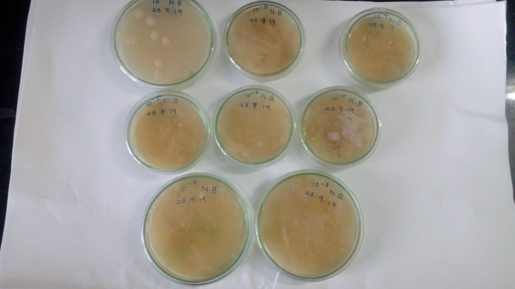 Nutrient Broth (NB) Nutrient Agar (NA) Culture Medium Microbiology