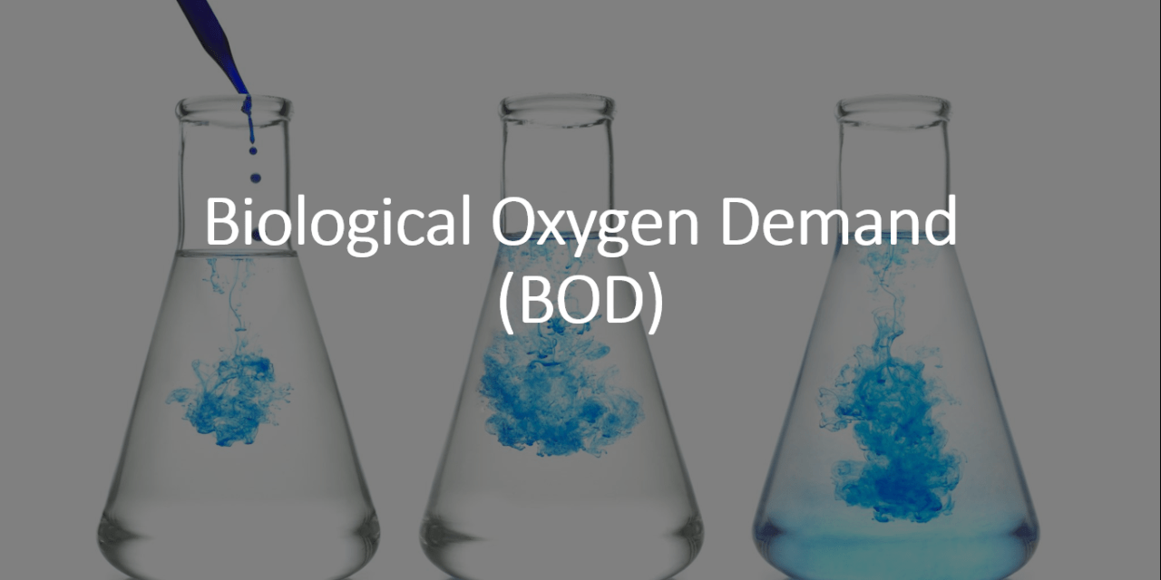 Experiment Setup of Biological Oxygen Demand (BOD)