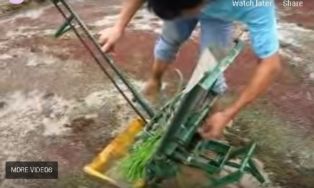 chines Rice planting machine