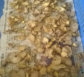 Experiment on drying ginger in Dome dryer