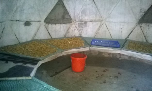 Failure of bulk test