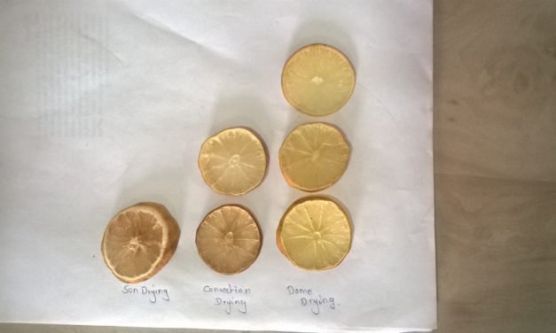 ﻿Trial on drying LEMON slices..!