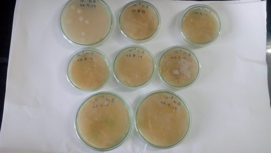 Compost Bacterial Broth Modification | DESIGN INNOVATION CENTER