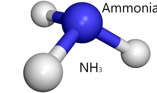 Estimation Of Ammonia In  Water.