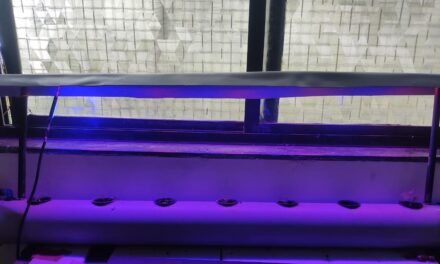 LED NUTRIENT FILM TECHNIQUE FOR SHEVANTI