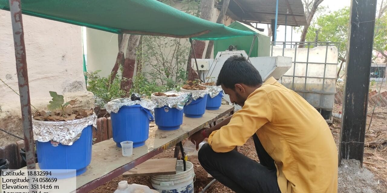 To study hydroponic (flood and drain) system for brinjal crop