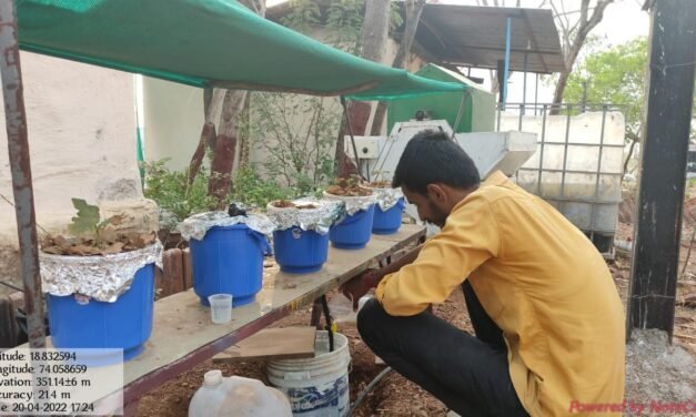 To study hydroponic (flood and drain) system for brinjal crop
