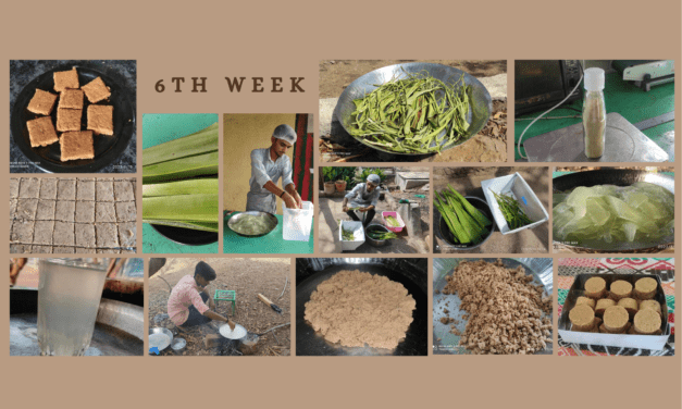 Food Lab – 6th week