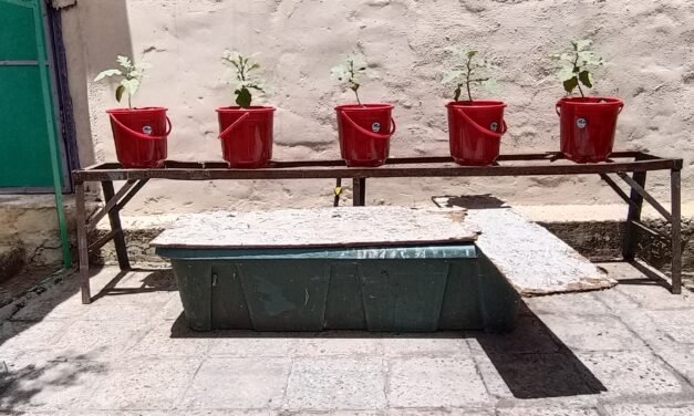 Hydroponics