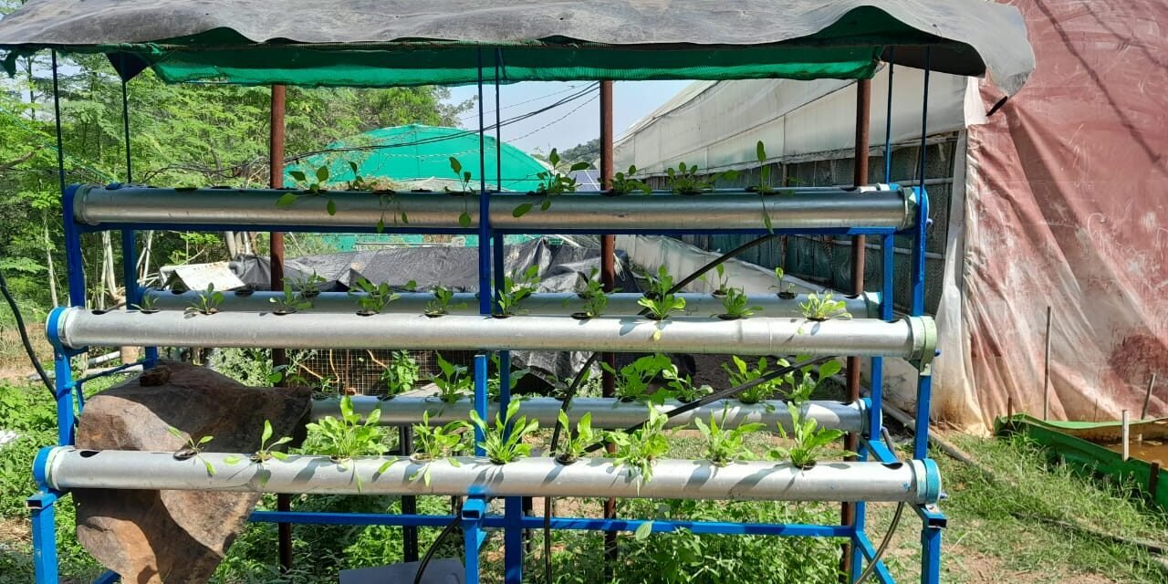 Observation and Modification of Hydroponic system