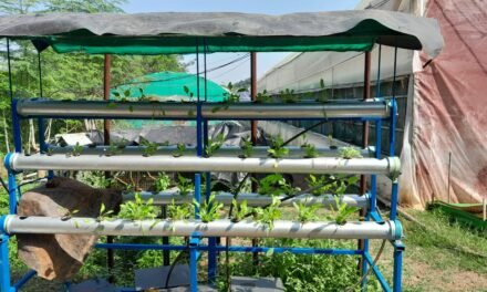 Observation and Modification of Hydroponic system