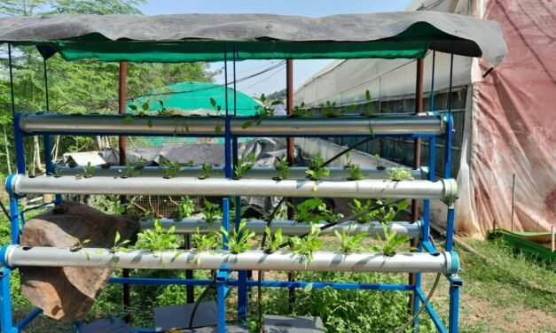 Observation and Modification of Hydroponic system