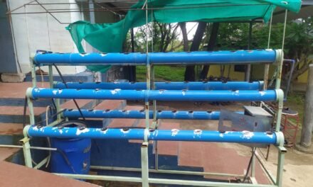 Modification of old Hydroponics System