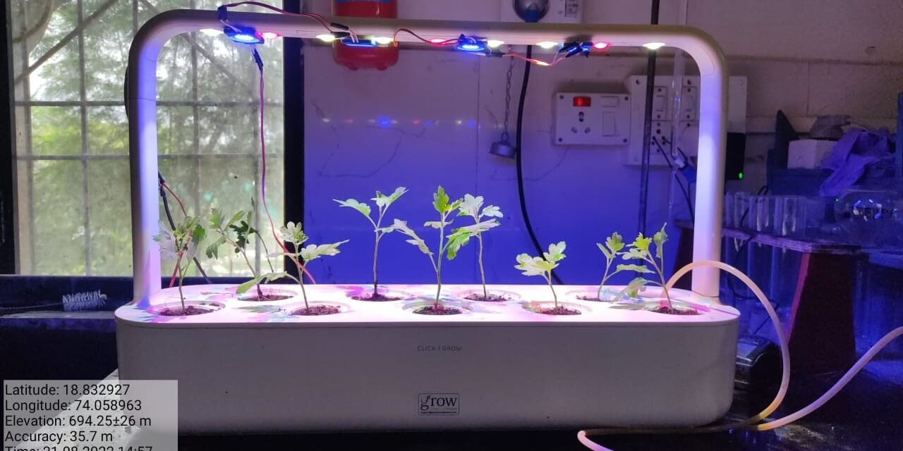 STUDY & OBSERVE LED HYDROPONICS