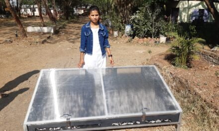 Solar Dryer for Vegetable and Fruit