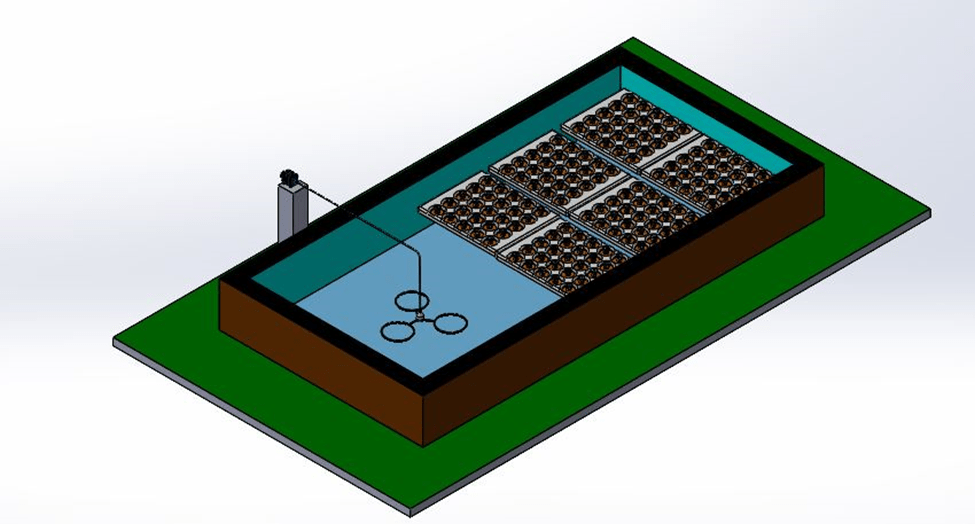 Deep water culture Hydroponics.