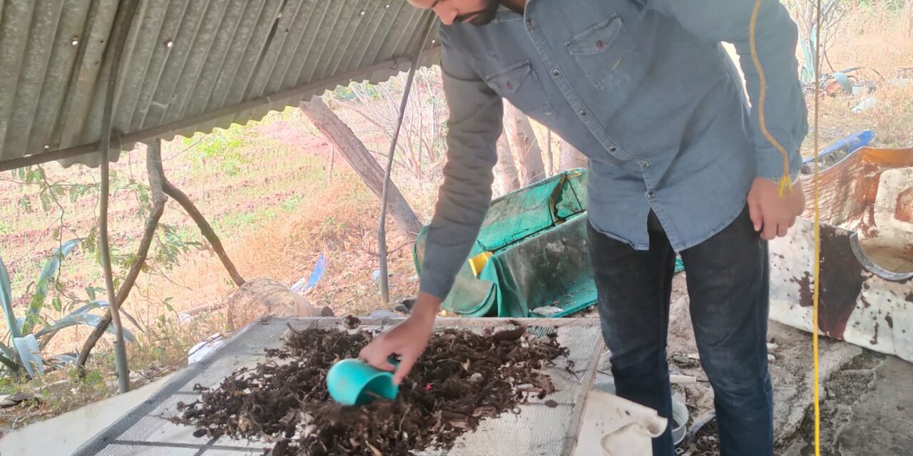 BSF Larvae Separator Machine