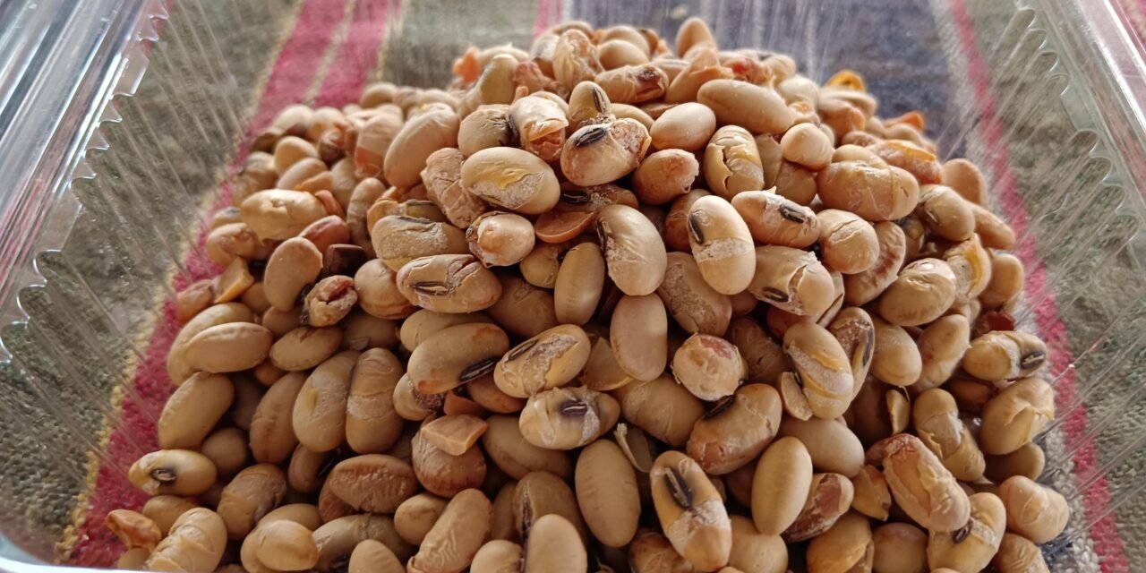 Standardization and Formulation of Protein Rich Soybean