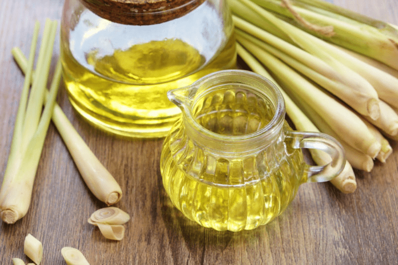 Lemongrass Distillation.