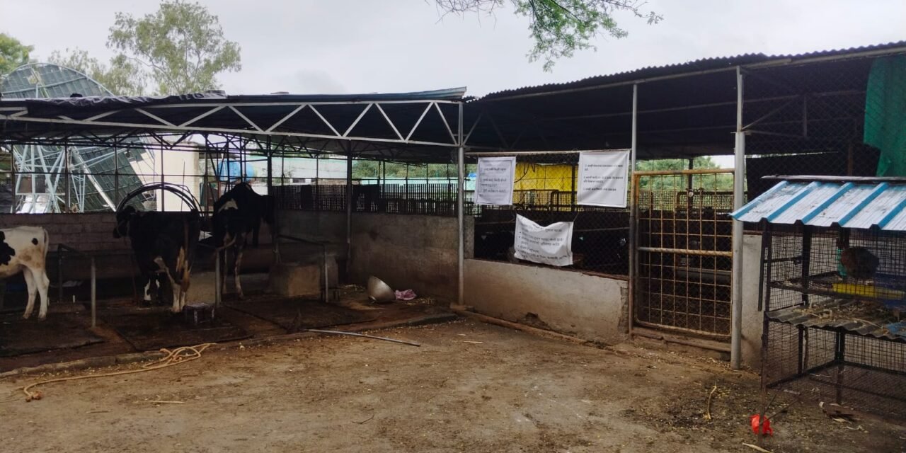 LIVESTOCK SHED MODIFICATION