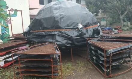 SCALE DOWN OF CHILLY DOME DRYER