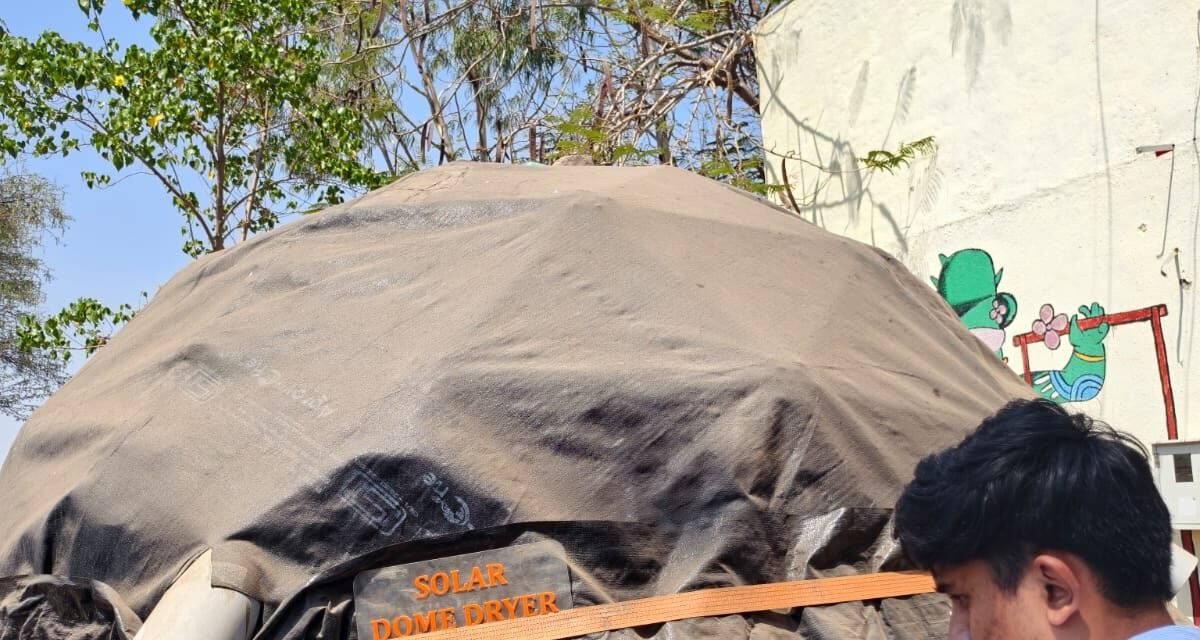 SCALED DOWN CHILLI DOME DRYER