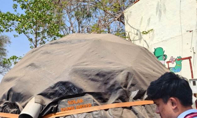 SCALED DOWN CHILLI DOME DRYER