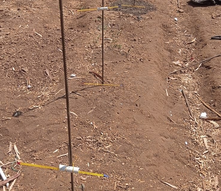 Different type of soil and temperature relation test