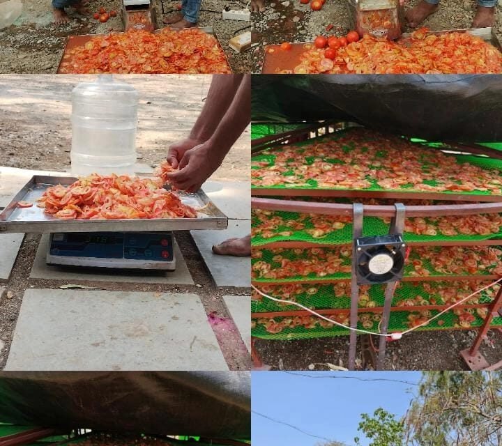 Costing and Branding of dried Onion and Tomato flakes