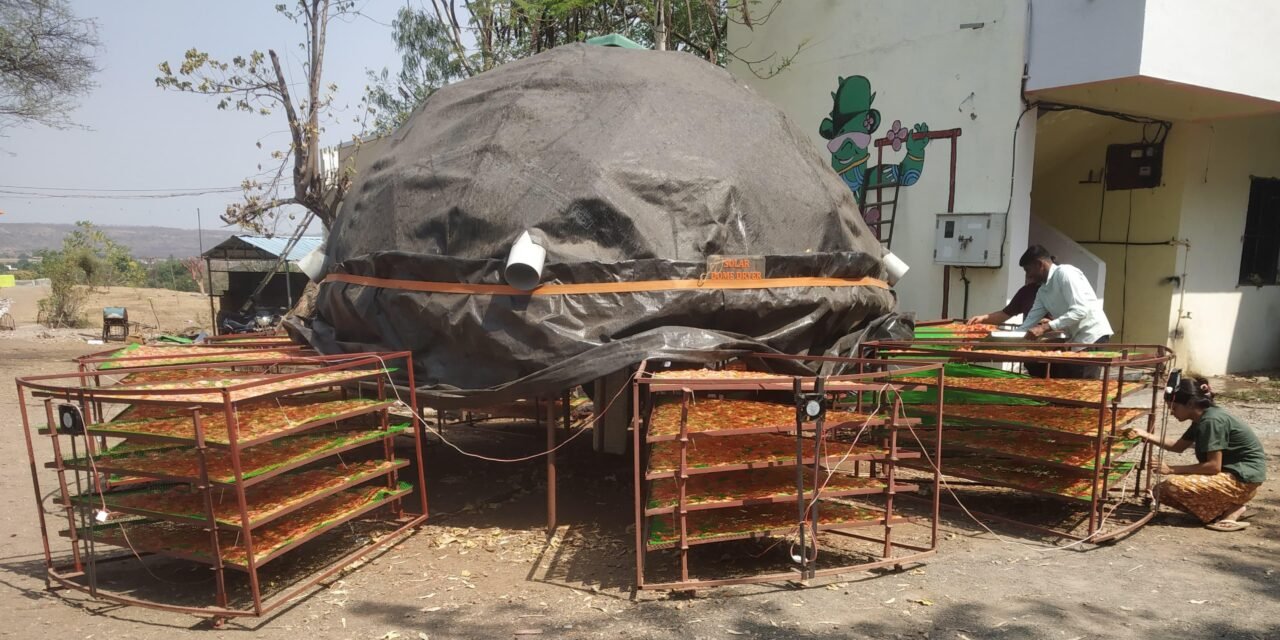 SOLAR DOME DRYER TRIALS