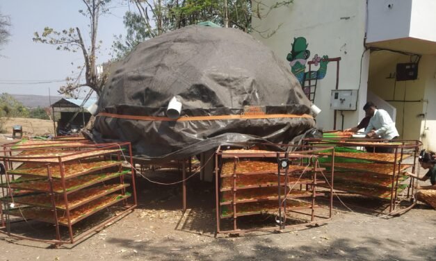 SOLAR DOME DRYER TRIALS