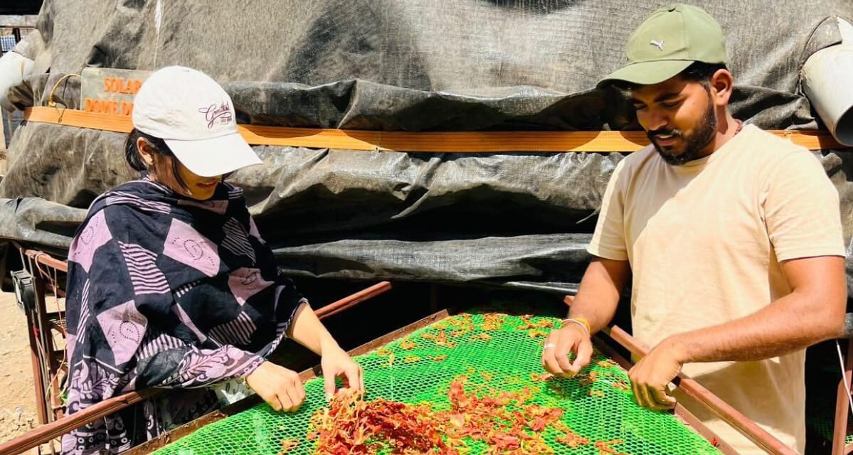 Tomato And Onion trial