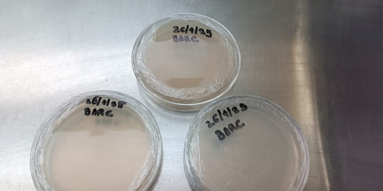 To Revive And Mass Production Of BARC Culture