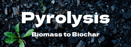 Biomass Pyrolysis