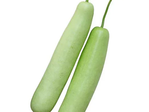 Instant Dudhi Halwa Premix