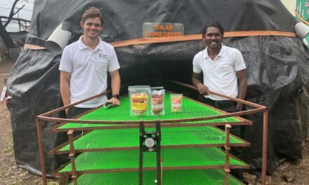 Performance Investigation of Solar Dryer for Vegetables and Fruits Drying.