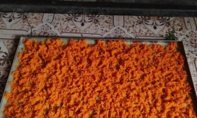 हीट पंप ड्रायरवर गाजर हलवा – एक प्रयोगात्मक ट्रायल