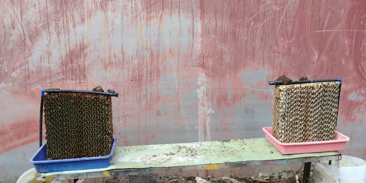 Algae Growth Control on Cooling Pads