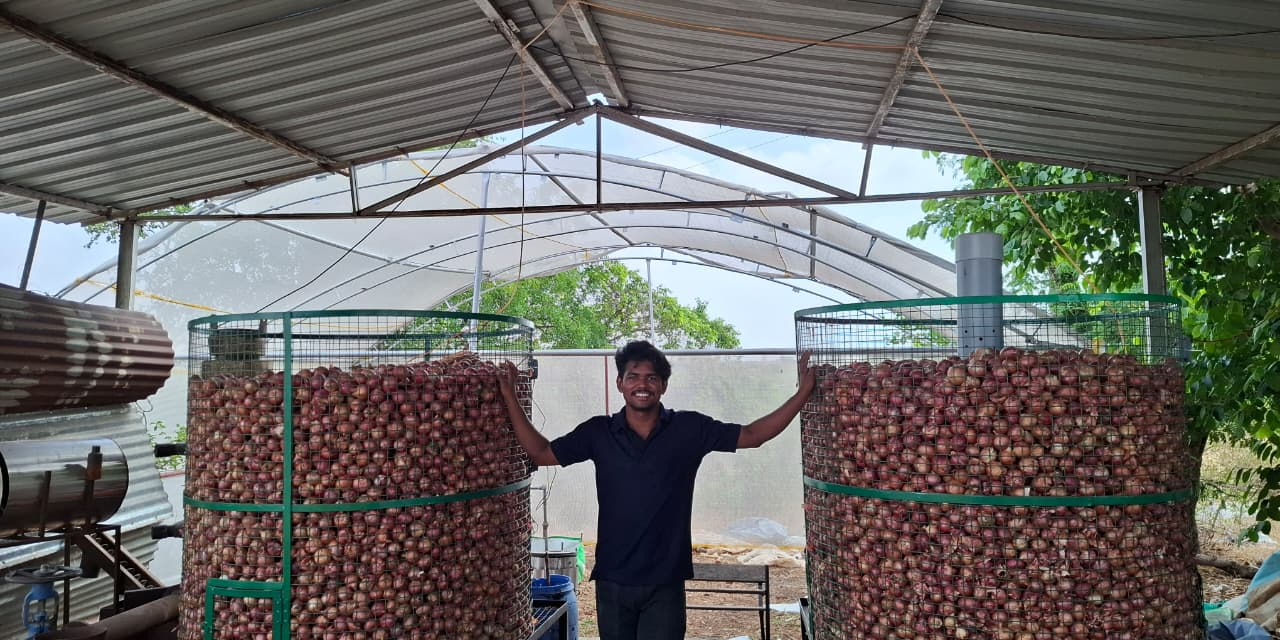 Regulation and Storage Optimization for Preventing Onion Sprouting and Decay.