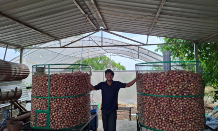Regulation and Storage Optimization for Preventing Onion Sprouting and Decay.