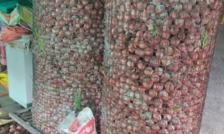 Regulation and Storage Optimization for Preventing Onion Sprouting and Decay.