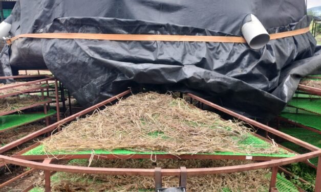 14 TREES FOUNDATION TRIALS