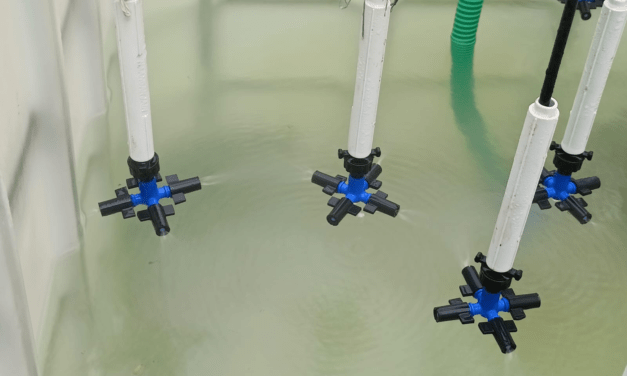 Study of Permanent Hardness in Fogger Systems and Experimental setup in polyhouse