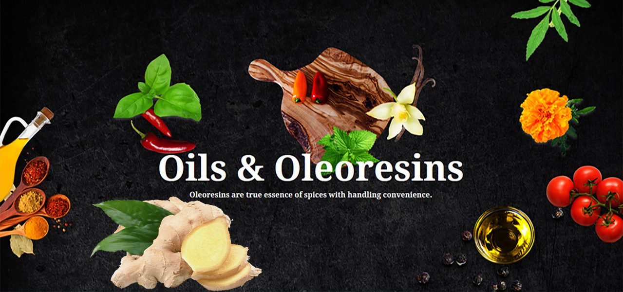 Innovative Study on Natural Flavor Addition in Tea Powder using Oleoresins and Essential Oils