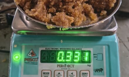 Instant Modak Filling