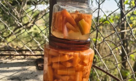 CARROT PICKLE