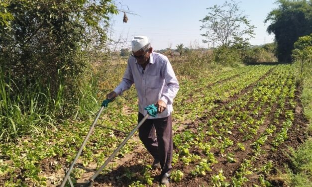 Identification of Scope of Intervention in Weeding