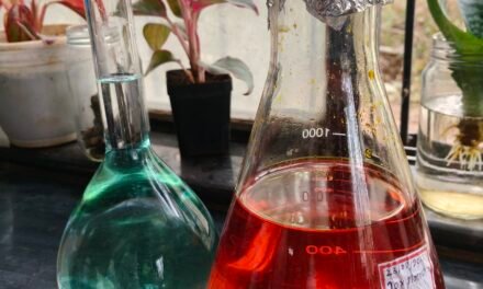 Determination of Organic Carbon in Soil