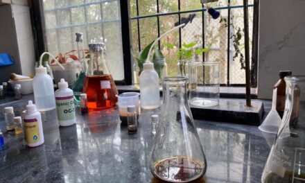 Determination of Organic Carbon in Soil