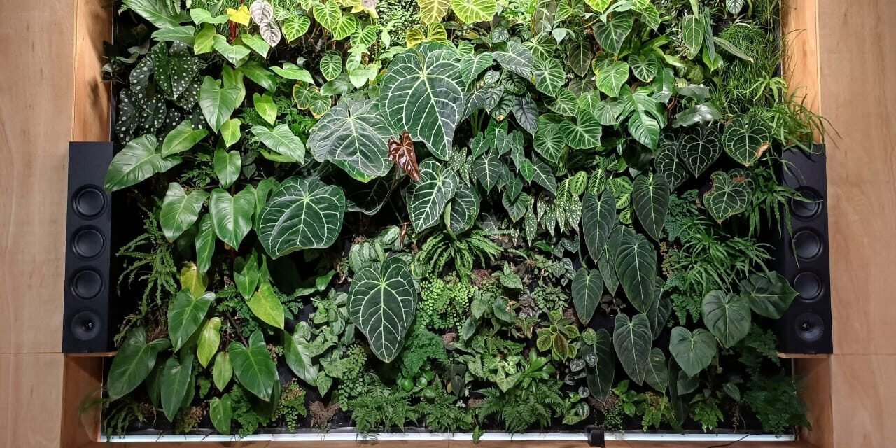 Green Wall Hydrophonics